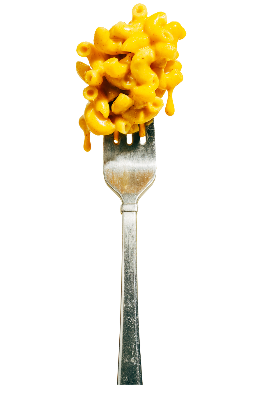 forkful of creamy, cheesy mac and cheese